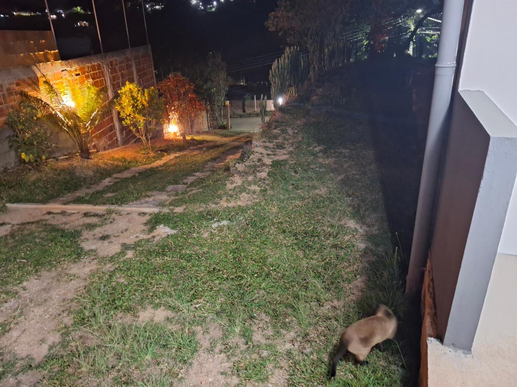 Apartment Casa De Luz - Lar Na Serra Miguel Pereira
